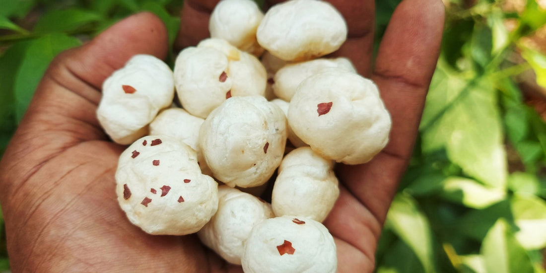 Top 10 Benefits of Eating Makhana for Overall Health and Wellness